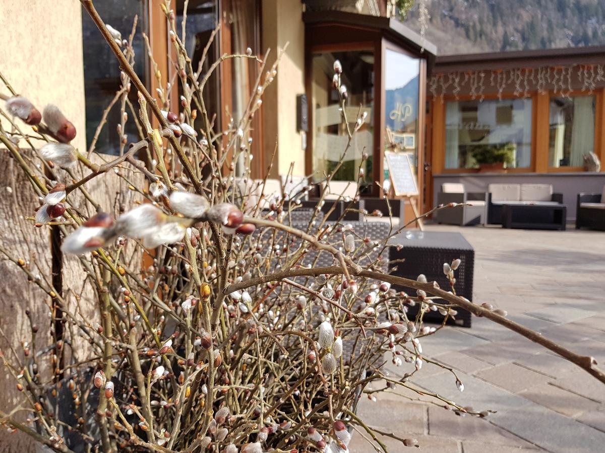 Hotel Pedretti Branzi Extérieur photo